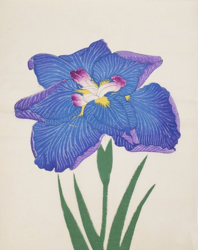 Azumabotan, nr 89, 1890 (träblock i färg) av Japanese School
