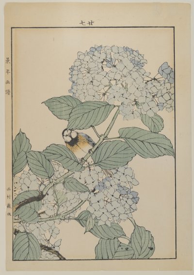 Fågel med hortensia, Meiji-period, ca 1868-1912 (träblock i färg) av Japanese School