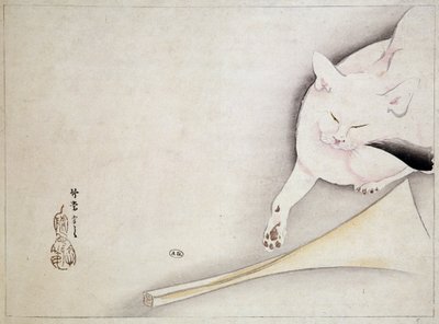 Katt, japansk teckning, n.d. 1800-talet. av Japanese School