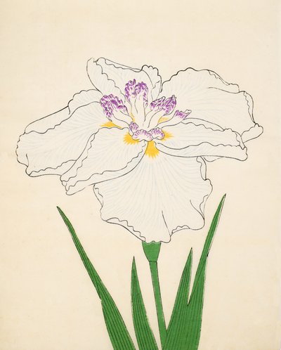 Cho-Hiyen, nr 91, 1890 (träblock i färg) av Japanese School