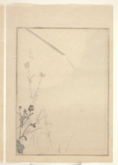 Krysantemum (träblock i färg) (se även 374402) av Japanese School
