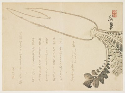 Daikon rädisa, januari 1864 (träblock i färg) av Japanese School