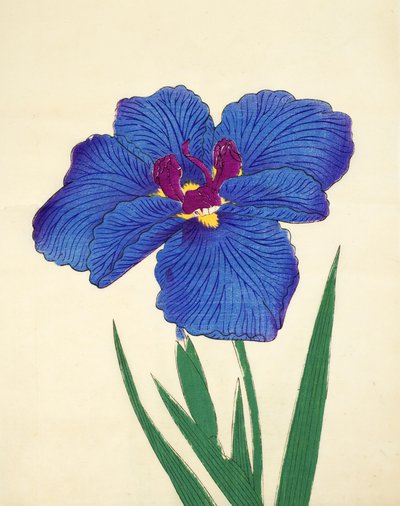Det är ett skvaller. - Min, av. 9, 1898 av Japanese School