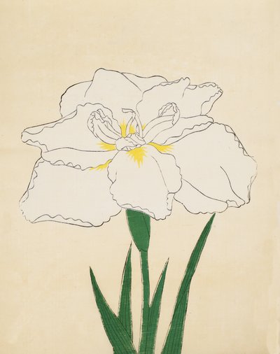 Haku-O-Den, nr 40, 1890 (trätryck i färg) av Japanese School