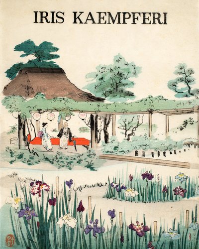 Iris Kaempferi - Främre omslag, 1890 av Japanese School