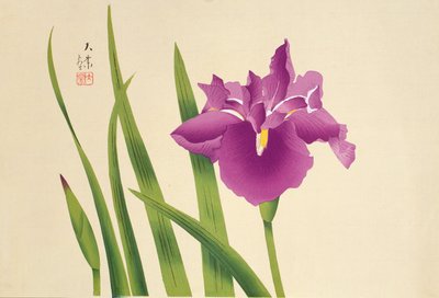 Iris, pub. c.1950 av Japanese School