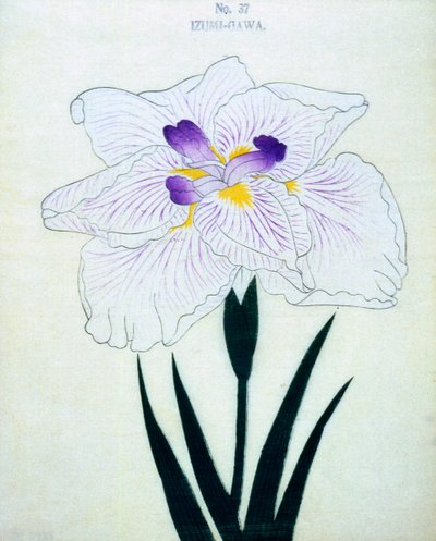På Izumi-sidan. 37, 1898 av Japanese School