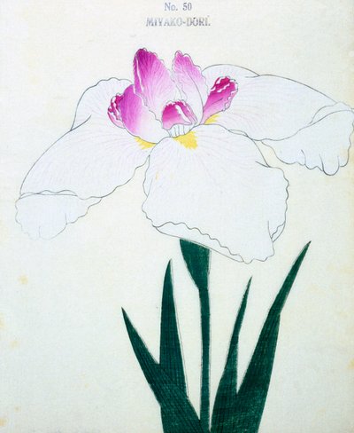 Vad är huvudstaden? 50, 1898 av Japanese School