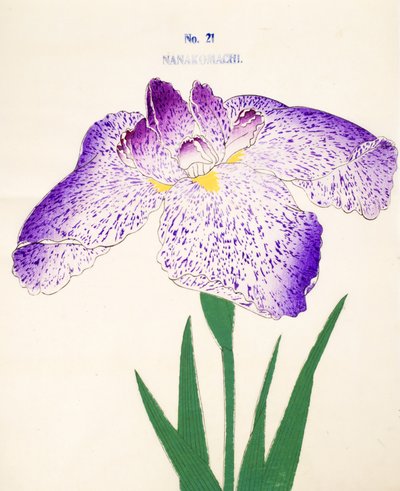 Av sju Komachi. 21, 1898 av Japanese School