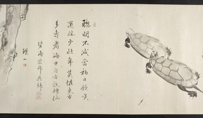Eller. 14872, f.36, Två sköldpaddor, från Yoshida Seisai (handscroll) av Japanese School