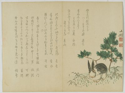 Kanin under New Years Pine, ca 1860 (träblocktryck) av Japanese School