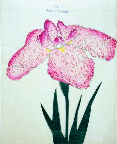 Av ett tankfartyg. -Bortom. 15, 1898 av Japanese School