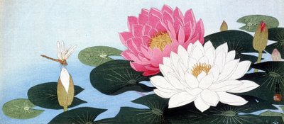 Näckrosor och trollslända - japanskt tryck av Japanese School