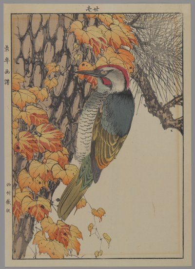 Hackspett, 1892 (träblock i färg) av Japanese School