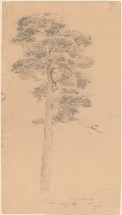 Tall av Jasper Francis Cropsey