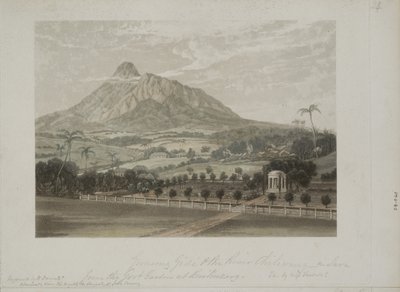 Trädgård på Buitenzorg (akvatint) av Javanese School