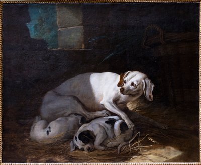 Hund som ammar sin unge av Jean-Baptiste Oudry