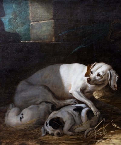 Hund, der ihre Jungen säugt von Jean-Baptiste Oudry