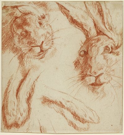 Harstudier: två huvuden och två par tassar av Jean-Baptiste Oudry