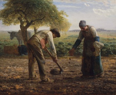 Potatissättare av Jean-Francois Millet
