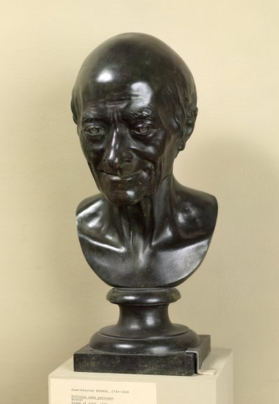 Byst av Voltaire (1694-1778) 1778 (brons) av Jean Antoine Houdon