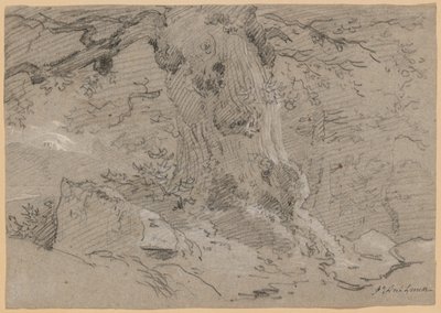 Studie av gammal trädstam av Jean Antoine Linck