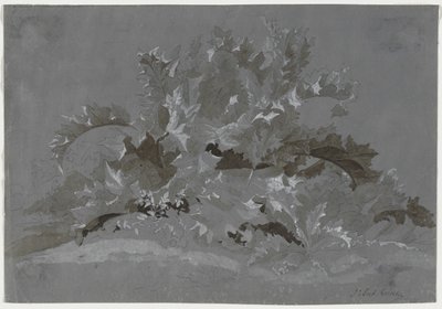 Studie av ogräs av Jean Antoine Linck