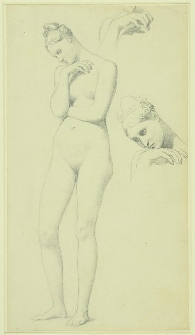 Studier till figuren Stratonice, ca 1834-40 (blyerts på papper) av Jean Auguste Dominique Ingres
