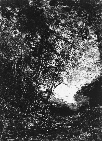 Der Hinterhalt, 1858 von Jean Baptiste Camille Corot