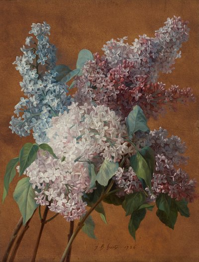 En studie av syrener av Jean Baptiste Huet