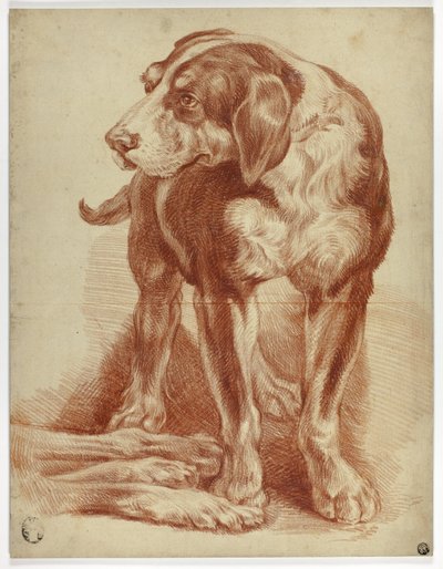 Hound stående av Jean Baptiste Huet