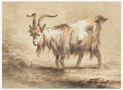 Teckning, studie av en get, 1772 av Jean Baptiste Huet