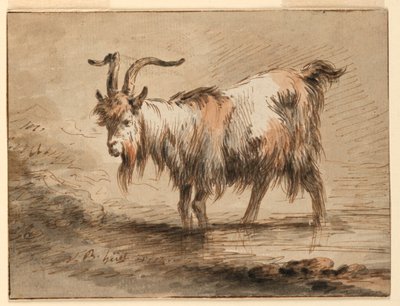 Teckning, studie av en get, 1772 av Jean Baptiste Huet
