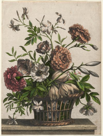Ringblommor, singel Anemone, Jasmine... av Jean Baptiste I Monnoyer