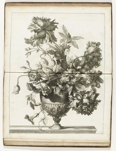 Bloemenvaas Books of Several Vazes of Flowers gjorda efter det naturliga (serietitel) av Jean Baptiste Monnoyer