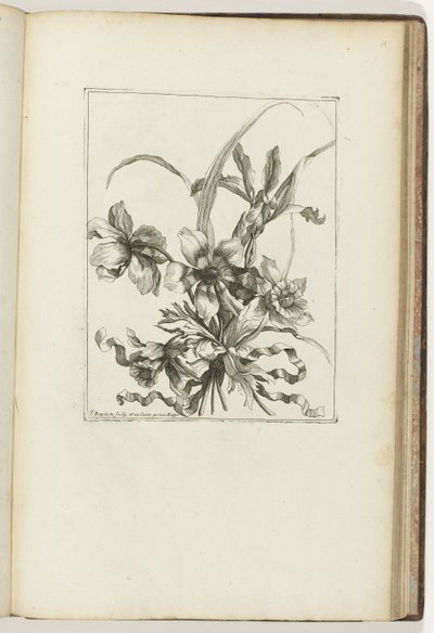 Knuten bukett Les Petits Bouquets (serietitel) av Jean Baptiste Monnoyer