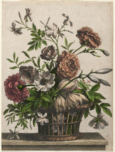 Ringblommor, singel Anemone, Jasmine.... av Jean Baptiste Monnoyer I