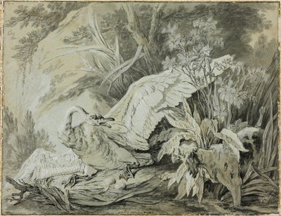 En vild svan attackerad av en hund av Jean Baptiste Oudry