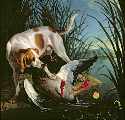 Hund med en vild anka av Jean Baptiste Oudry