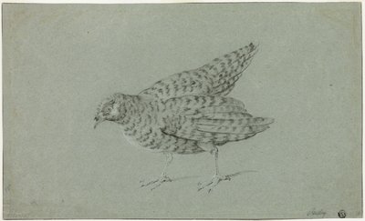 Rapphöna av Jean Baptiste Oudry