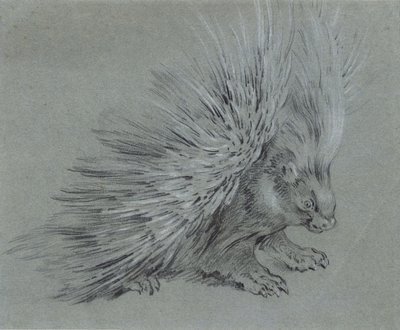 Piggsvin av Jean Baptiste Oudry
