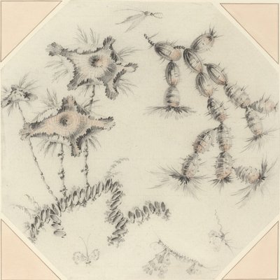 Bambublommor och kaktus av Jean Baptiste Pillement