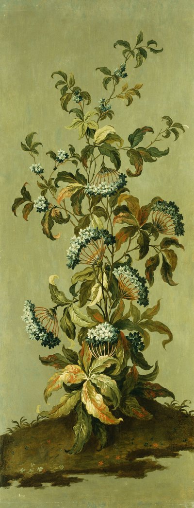 Dekorativa paneler med blommor av Jean Baptiste Pillement