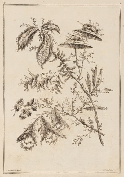 Blomgren av Jean Baptiste Pillement