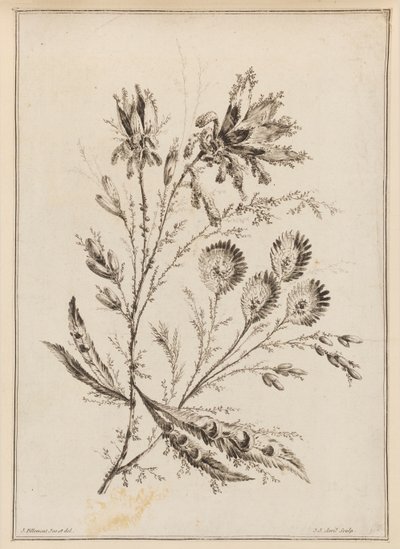 Blomgren av Jean Baptiste Pillement