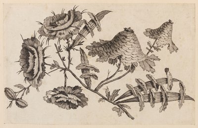 Flower Bough, från "Chinese Flower Collection" av Jean Baptiste Pillement