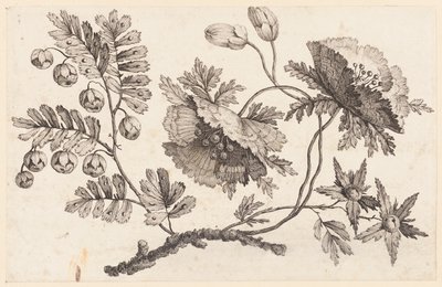 Flower Bough, från "Chinese Flower Collection" av Jean Baptiste Pillement