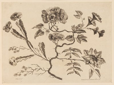 Flower Boughs, från "Samling av olika fantasiblommor i kinesisk smak" av Jean Baptiste Pillement