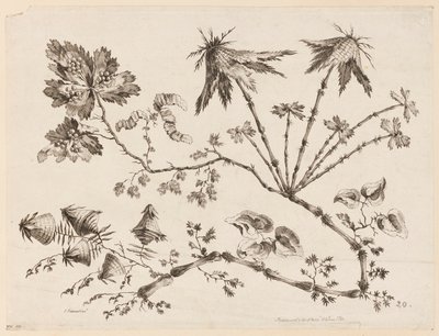Flower Boughs, från "Collection of Different Fantasy Flowers in Chinese Taste" av Jean Baptiste Pillement