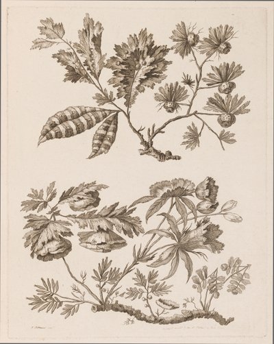 Flower Boughs, från "Samling av olika fantasiblommor i kinesisk smak" av Jean Baptiste Pillement